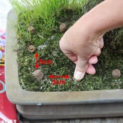 Hanagokoro Bonsai Dünger 3.0kg -Bonsai Verkaufe d2han30003