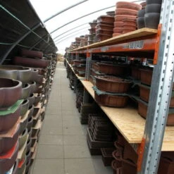 Bonsaischale 53.5x42.5x11.5cm Braun Oval Unglasiert -Bonsai Verkaufe h54 436 b7