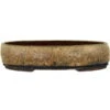 Bonsaischale 32x24.5x7.5cm Hellbraun Oval Glasiert -Bonsai Verkaufe p32ov23002a