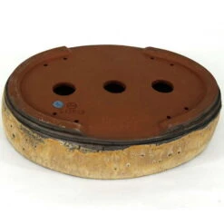 Bonsaischale 32x24.5x7.5cm Hellbraun Oval Glasiert -Bonsai Verkaufe p32ov23002a3