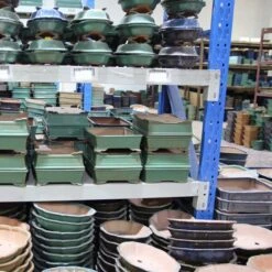 Bonsaischale 15x11x4.5cm Antik-Braun Oval Unglasiert -Bonsai Verkaufe s15 314 ab7