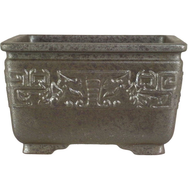 Bonsai Verkaufe -Bonsai Verkaufe s15 822 db