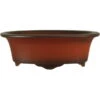 Bonsaischale 16x12x5.5cm Antik-Rotbraun Oval Unglasiert -Bonsai Verkaufe s16 315 ar