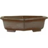 Bonsaischale 22.5x19.5x5.5cm Dunkelbraun Sechseckig Unglasiert -Bonsai Verkaufe s23 835 db