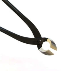 Konkavzange 27cm Solide Schwarz Geschliffen -Bonsai Verkaufe wz k cq2 es4