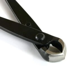 Knospenzange 18cm Solide Schwarz Geschliffen -Bonsai Verkaufe wz r aq2 g4