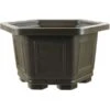 Bonsaischale 27.8x27.8x17.3cm Dunkelbraun Sechseckig Kunststoff -Bonsai Verkaufe z ps h28 db