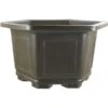 Bonsaischale 41.5x41.3x25cm Dunkelbraun Sechseckig Kunststoff