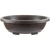 Bonsaischale 47.7x37.7x15cm Dunkelbraun Oval Kunststoff -Bonsai Verkaufe z ps o48 db